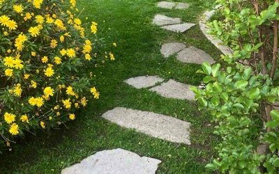 Photo of Marcus W.'s yard after getting lawn care in La Habra, CA