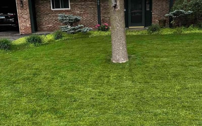 Photo of Josh M.'s yard after getting lawn care in Minnetonka, MN