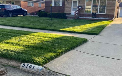 Photo of Matt V.'s yard after getting lawn care in Niles, MI
