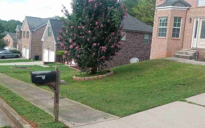 Photo of Eric K.'s yard after getting lawn care in Clarkston, GA