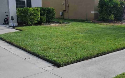 Photo of Alberto R.'s yard after getting lawn care in Davenport, FL