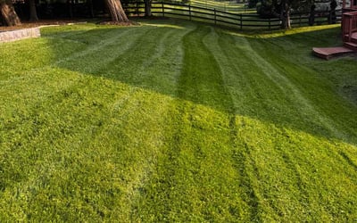 Photo of Judy B.'s yard after getting lawn care in Vancouver, WA