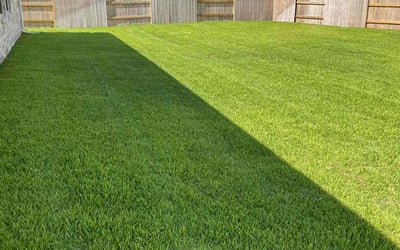 Photo of Leonardo R.'s yard after getting lawn care in Alton, TX