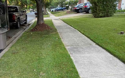 Photo of Angel S.'s yard after getting lawn care in Creve Coeur, MO