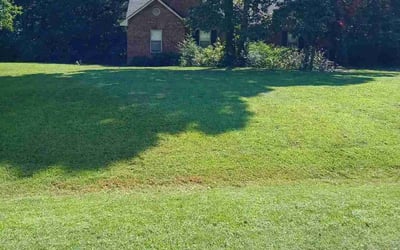 Photo of Christina W.'s yard after getting lawn care in State College, PA