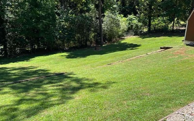 Photo of Heather W.'s yard after getting lawn care in Taylors, SC