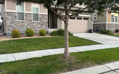 Photo of Unique G.'s yard after getting lawn care in Commerce City, CO
