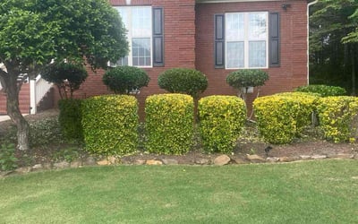 Photo of Sarah A.'s yard after getting lawn care in Bothell, WA