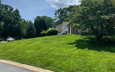 Photo of Suren G.'s yard after getting lawn care in Frisco, TX
