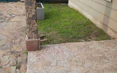 Photo of Marcia C.'s yard after getting lawn care in Jeannette, PA
