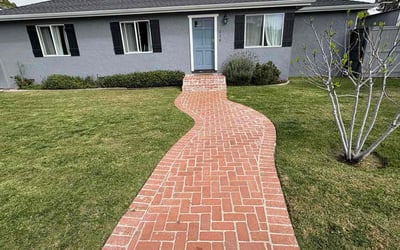 Photo of Patrick F.'s yard after getting lawn care in San Juan Capistrano, CA