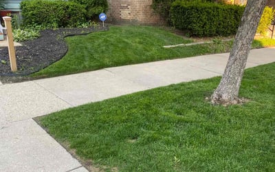 Photo of Kneauka L.'s yard after getting lawn care in Milwaukee, WI