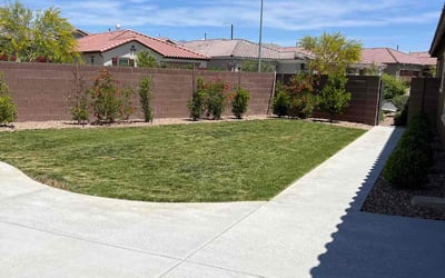 Photo of Kim O.'s yard after getting lawn care in North Las Vegas, NV