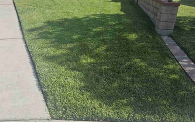 Photo of Debbie C.'s yard after getting lawn care in Rowland Heights, CA