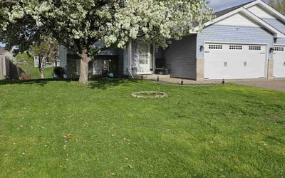 Photo of Vicki B.'s yard after getting lawn care in Brooklyn Center, MN