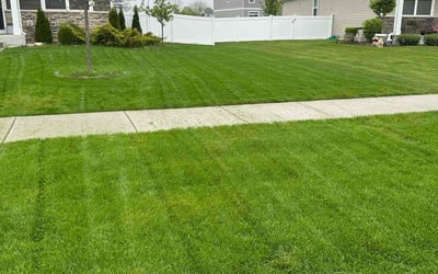 Photo of Jason P.'s yard after getting lawn care in Miami, FL