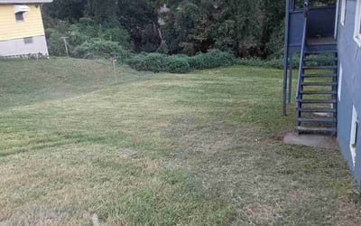 Photo of Ifeoluwa A.'s yard after getting lawn care in Carpentersville, IL