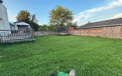 Photo of Earl K.'s yard after getting lawn care in Tulare, CA