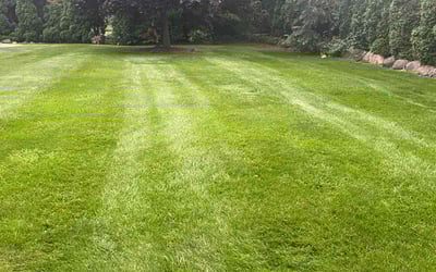 Photo of Lisa S.'s yard after getting lawn care in Sussex, WI