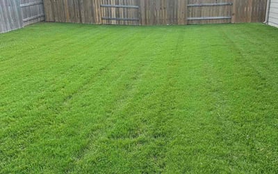 Photo of Tanya G.'s yard after getting lawn care in Lakeway, TX