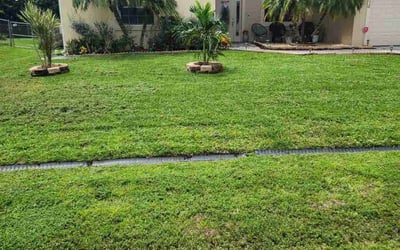 Photo of Megan M.'s yard after getting lawn care in Port St. Lucie, FL