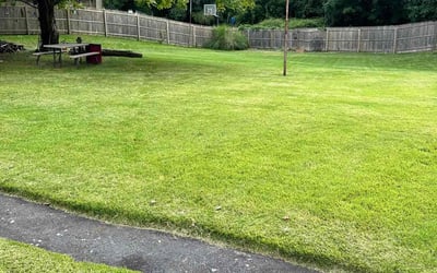 Photo of John B.'s yard after getting lawn care in New Haven, CT