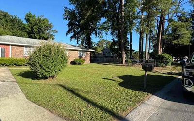 Photo of Misty S.'s yard after getting lawn care in Westfield, NJ
