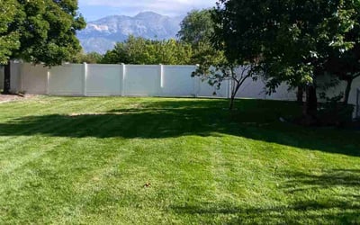 Photo of Ernestine C.'s yard after getting lawn care in Highland, UT