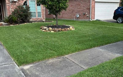 Photo of Stephen M.'s yard after getting lawn care in Spring, TX
