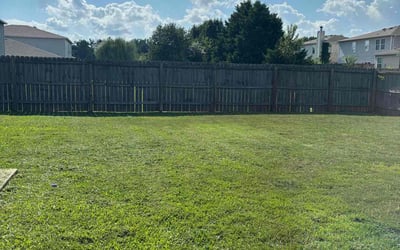 Photo of Lorenzo J.'s yard after getting lawn care in Jacksonville, AR