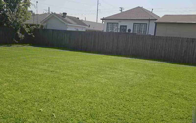 Photo of Cecily D.'s yard after getting lawn care in New Orleans, LA