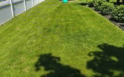 Photo of Jim L.'s yard after getting lawn care in West Mifflin, PA