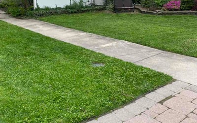 Photo of Ben A.'s yard after getting lawn care in Groton, CT