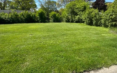 Photo of Koree E.'s yard after getting lawn care in Bloomfield Hills, MI