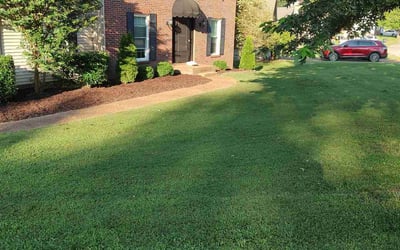 Photo of Sandra B.'s yard after getting lawn care in Old Hickory, TN
