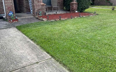 Photo of Carleen T.'s yard after getting lawn care in Newberg, OR