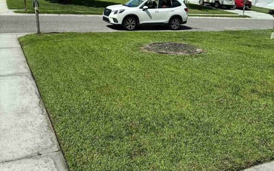 Photo of Michael T.'s yard after getting lawn care in Mechanicsville, VA