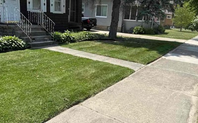 Photo of Val O.'s yard after getting lawn care in Ada, MI