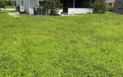 Photo of Michael N.'s yard after getting lawn care in Naples, FL