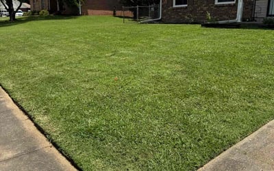 Photo of Julie B.'s yard after getting lawn care in Ooltewah, TN
