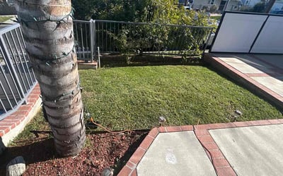 Photo of Mike G.'s yard after getting lawn care in Canoga Park, CA