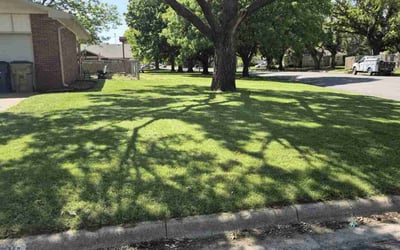 Photo of Tepree G.'s yard after getting lawn care in Honolulu, HI