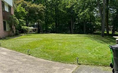 Photo of Shawn B.'s yard after getting lawn care in Covington, GA