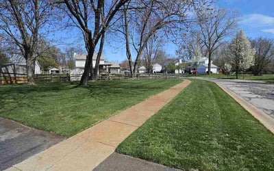 Photo of John T.'s yard after getting lawn care in Holland, OH