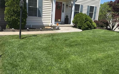 Photo of Monica M.'s yard after getting lawn care in Linden, NJ