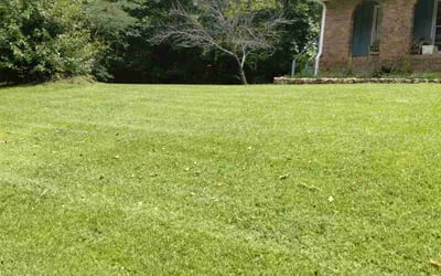 Photo of Ross M.'s yard after getting lawn care in Cartersville, GA