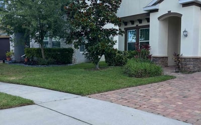 Photo of Twanna T.'s yard after getting lawn care in Friendswood, TX