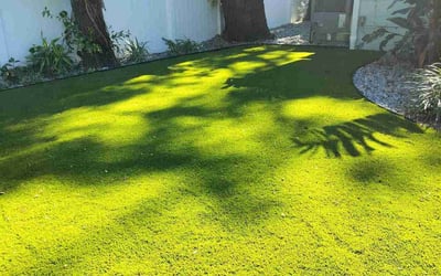 Photo of Jim M.'s yard after getting lawn care in San Pedro, CA
