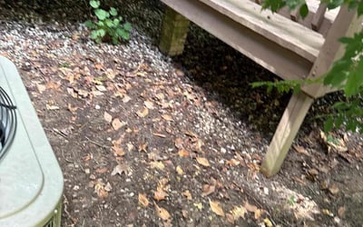 Photo of John G.'s yard after getting tree care in Davidson, NC