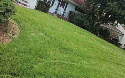 Photo of Srikanth E.'s yard after getting lawn care in Keansburg, NJ